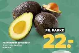 Netto Formodnede avocadoer tilbud