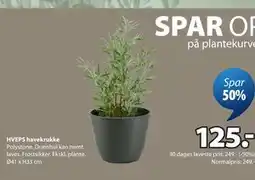 JYSK HVEPS havekrukke tilbud