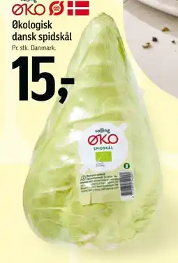 Føtex Økologisk dansk spidskål tilbud