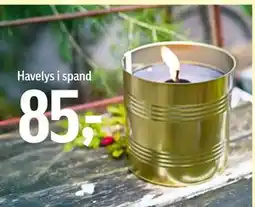 Føtex Havelys i spand tilbud