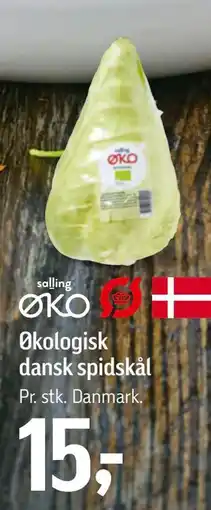 Føtex Økologisk dansk spidskål tilbud