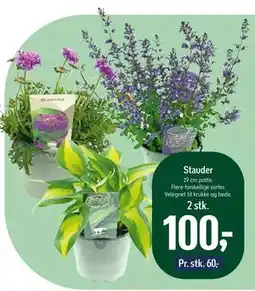 Føtex Stauder tilbud