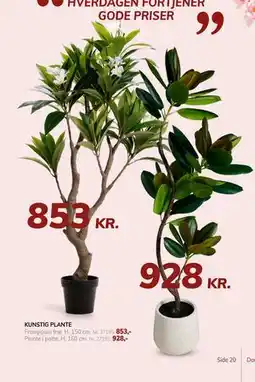 Daells Bolighus KUNSTIG PLANTE tilbud