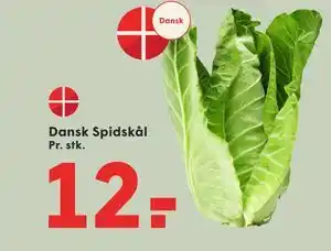 SPAR Dansk Spidskål tilbud