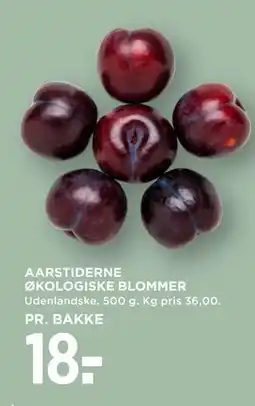 MENY AARSTIDERNE ØKOLOGISKE BLOMMER tilbud