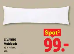 Lidl LIVARNO Multipude tilbud