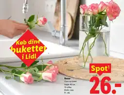 Lidl Roser tilbud