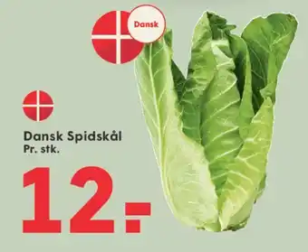 SPAR Spidskål tilbud
