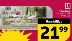 Løvbjerg Frilandsæg tilbud