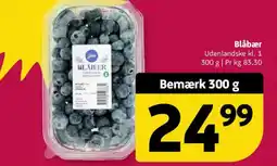 Løvbjerg Blåbær tilbud