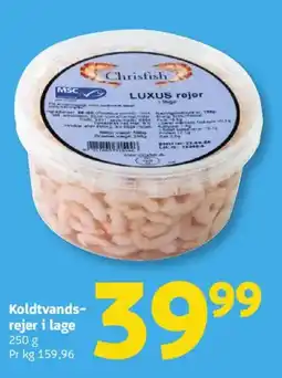 Løvbjerg Koldtvands- rejer i lage tilbud