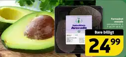 Løvbjerg Formodnet avocado tilbud
