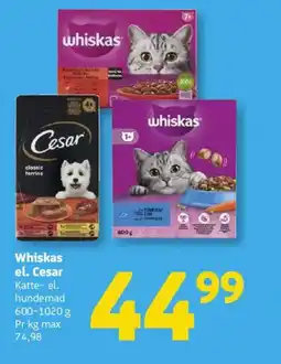 Løvbjerg Whiskas el. Cesar tilbud