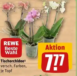 REWE DE REWE Beste Wahl Tischorchidee tilbud