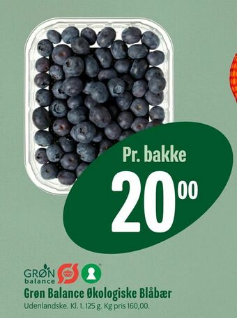 Grøn Balance Økologiske Blåbær