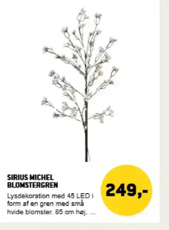 XL-BYG Sirius michel blomstergren tilbud