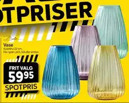 Din Isenkræmmer Vase tilbud
