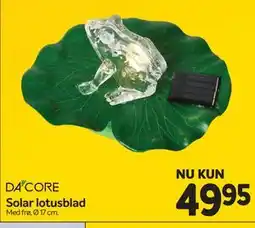 Din Isenkræmmer Solar lotusblad tilbud