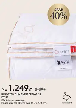 SENG RINGSTED DUN SVINEDRENGEN DYNE tilbud
