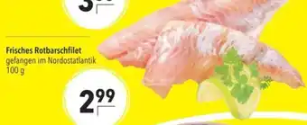 Citti Frisches Rotbarschfilet tilbud