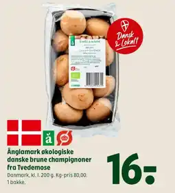 Coop 365 Änglamark økologiske danske brune champignoner fra Tvedemose tilbud