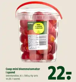 Coop 365 Coop mini blommetomater i spand tilbud