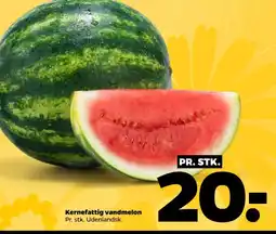 Netto Kernefattig vandmelon tilbud
