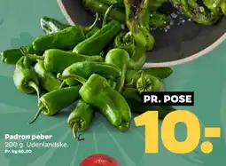 Netto Padron peber tilbud