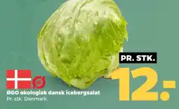 Netto ØGO økologisk dansk icebergsalat tilbud
