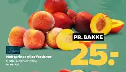 Netto Nektariner eller ferskner tilbud