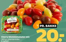 Netto Cherry blommetomater mix tilbud