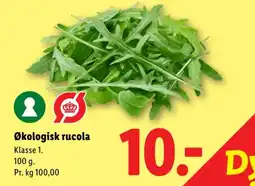 Lidl Økologisk rucola tilbud