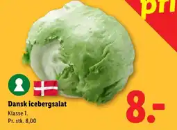 Lidl Dansk icebergsalat tilbud