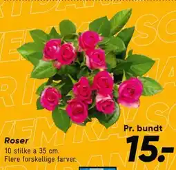 Bilka Roser tilbud