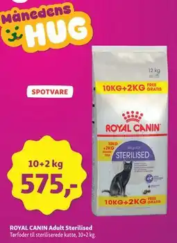 Maxi Zoo ROYAL CANIN Adult Sterilised tilbud