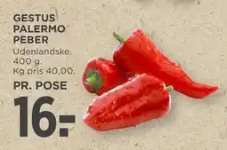 MENY GESTUS PALERMO PEBER tilbud