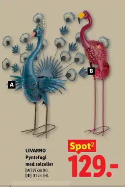 Lidl Livarno Pyntefugl med solceller tilbud