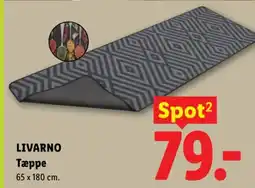 Lidl Livarno Tæppe tilbud