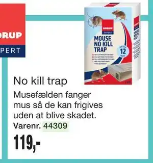Harald Nyborg No kill trap tilbud