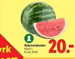 Lidl Babyvandmelon tilbud