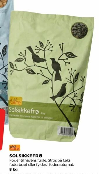 jem & fix Solsikkefrø tilbud
