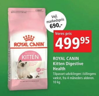 Maxi Zoo ROYAL CANIN Kitten Digestive Health tilbud