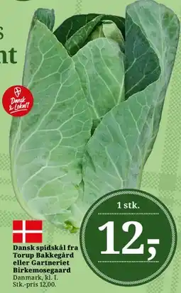 Dagli'Brugsen Dansk spidskål tilbud
