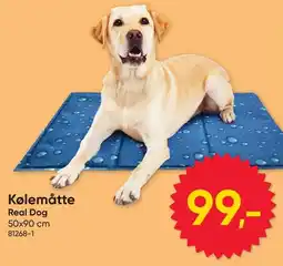 BigDollar Kølemåtte Real Dog tilbud