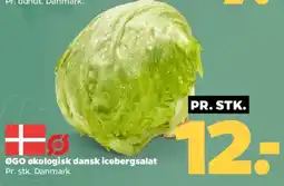Netto Økologisk dansk icebergsalat tilbud