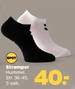 Netto Strømper (ankel) tilbud