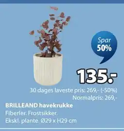 JYSK BRILLEAND havekrukke tilbud