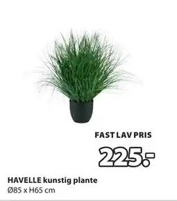 JYSK HAVELLE kunstig plante tilbud