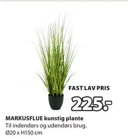 JYSK MARKUSFLUE kunstig plante tilbud