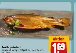 REWE DE Forelle geräuchert tilbud